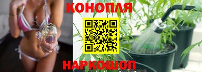 СК Кузнецк
