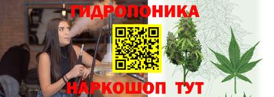 СК Кузнецк
