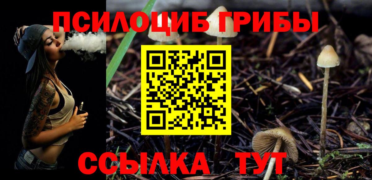 Псилоцибиновые грибы ЛСД  Вход с VPN  Псилоцибиновые грибы прущие грибы  Гудермес 